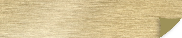 AA3557E Brushed gold magic II 23x1