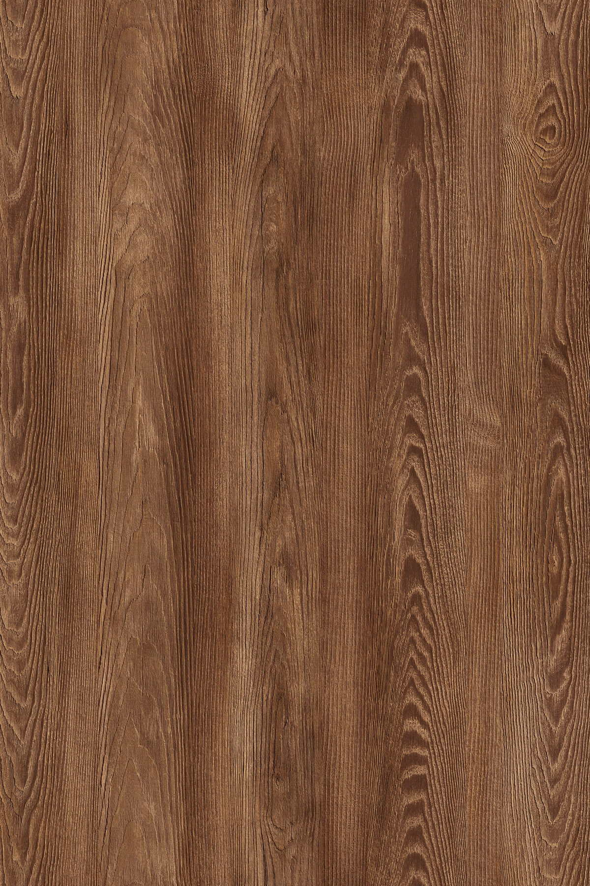 V 72 0K532 Flamed Arvadonna Chestnut 22x2